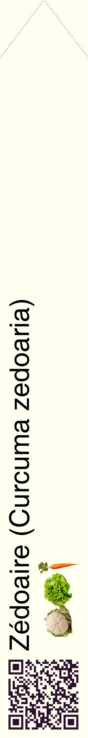 Étiquette de : Curcuma zedoaria - format c - style noire19_simplehel avec qrcode et comestibilité simplifiée