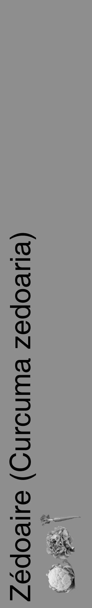 Étiquette de : Curcuma zedoaria - format c - style noire25_basique_basiquehel avec comestibilité simplifiée - position verticale