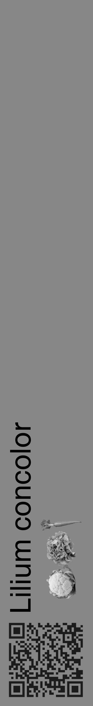 Étiquette de : Lilium concolor - format c - style noire12_basique_basiquehel avec qrcode et comestibilité simplifiée - position verticale