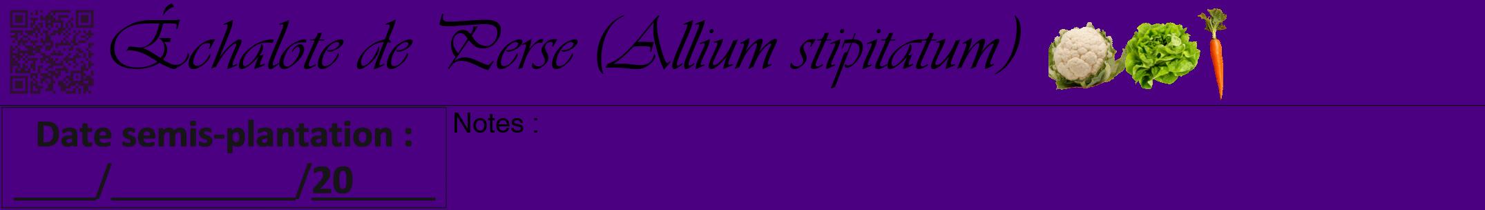 Étiquette de : Allium stipitatum - format a - style noire47viv avec qrcode et comestibilité simplifiée