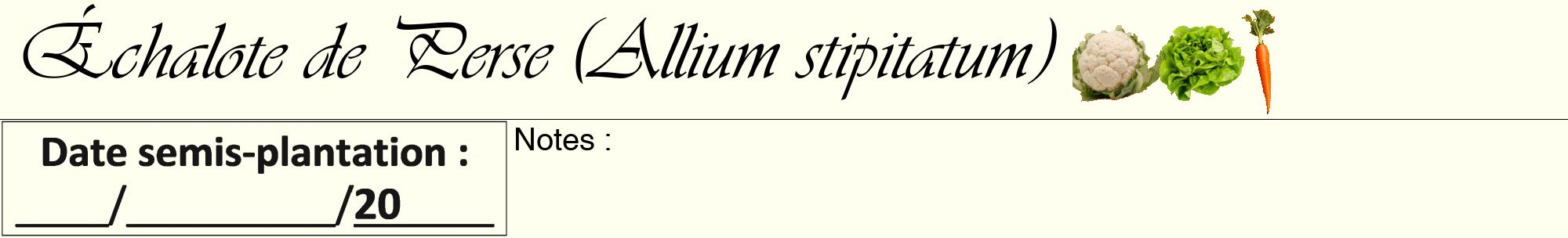 Étiquette de : Allium stipitatum - format a - style noire19viv avec comestibilité simplifiée