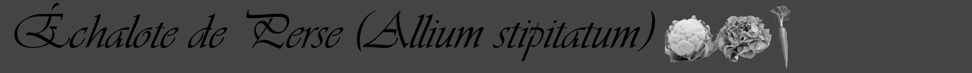 Étiquette de : Allium stipitatum - format a - style noire48viv avec comestibilité simplifiée