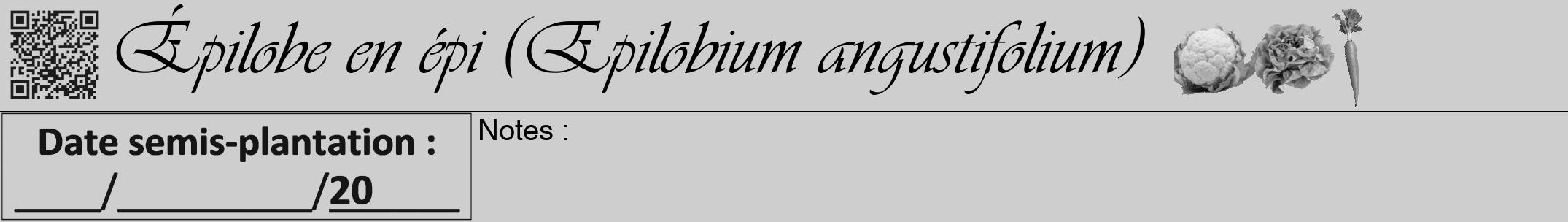 Étiquette de : Epilobium angustifolium - format a - style noire17viv avec qrcode et comestibilité simplifiée