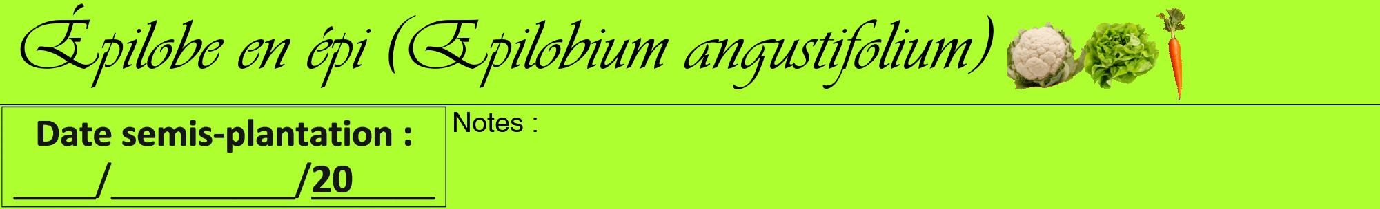 Étiquette de : Epilobium angustifolium - format a - style noire17viv avec comestibilité simplifiée