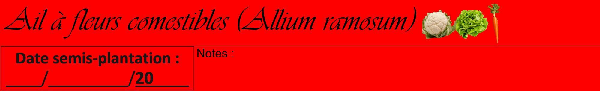 Étiquette de : Allium ramosum - format a - style noire27viv avec comestibilité simplifiée