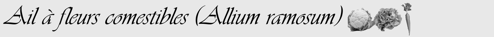 Étiquette de : Allium ramosum - format a - style noire55viv avec comestibilité simplifiée