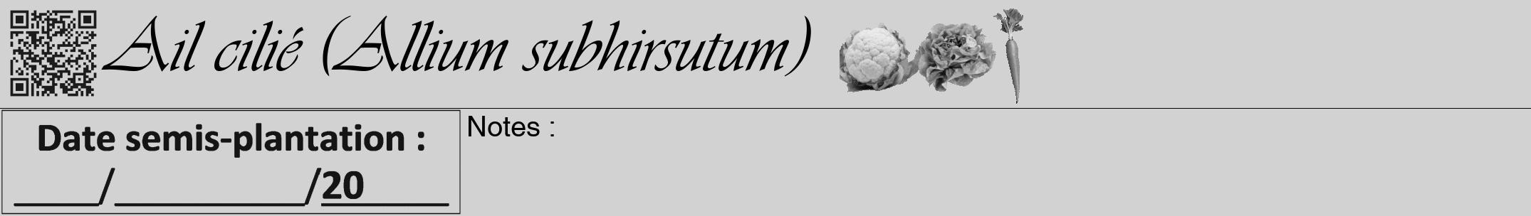 Étiquette de : Allium subhirsutum - format a - style noire14viv avec qrcode et comestibilité simplifiée