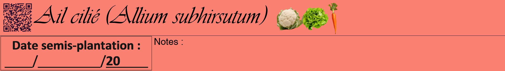 Étiquette de : Allium subhirsutum - format a - style noire38viv avec qrcode et comestibilité simplifiée
