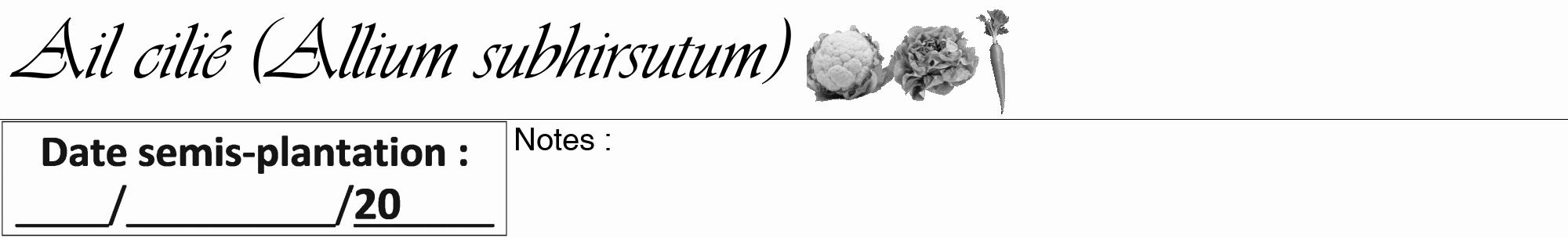 Étiquette de : Allium subhirsutum - format a - style noire19viv avec comestibilité simplifiée
