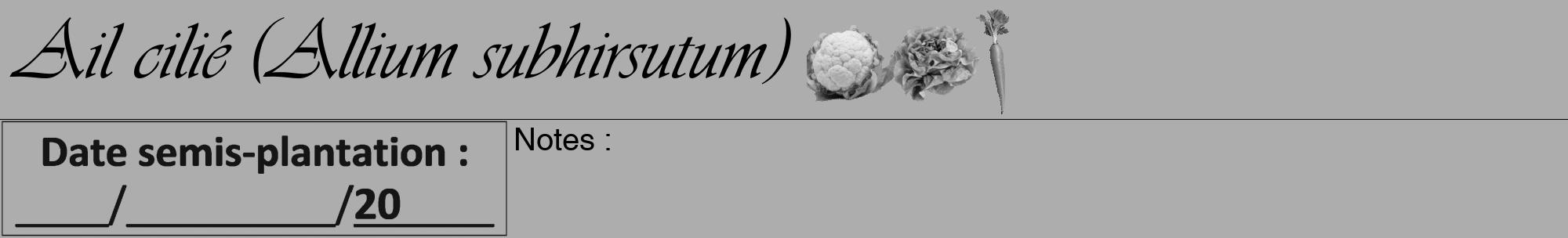 Étiquette de : Allium subhirsutum - format a - style noire22basiqueviv avec comestibilité simplifiée