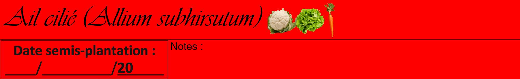 Étiquette de : Allium subhirsutum - format a - style noire27viv avec comestibilité simplifiée