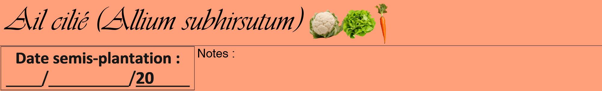Étiquette de : Allium subhirsutum - format a - style noire39viv avec comestibilité simplifiée