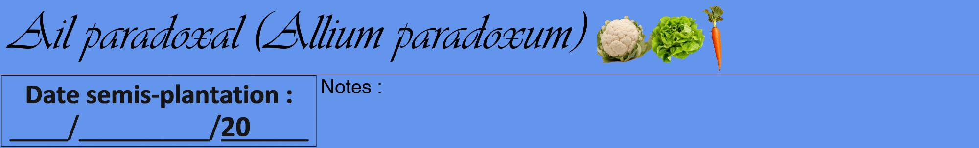 Étiquette de : Allium paradoxum - format a - style noire4viv avec comestibilité simplifiée