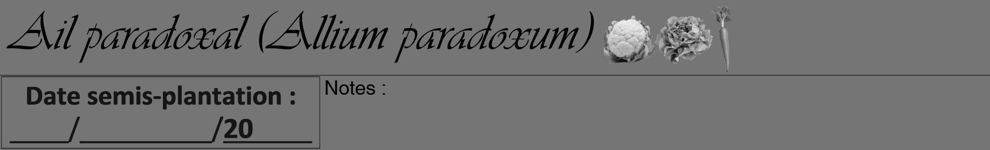Étiquette de : Allium paradoxum - format a - style noire5viv avec comestibilité simplifiée