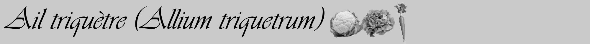 Étiquette de : Allium triquetrum - format a - style noire21viv avec comestibilité simplifiée