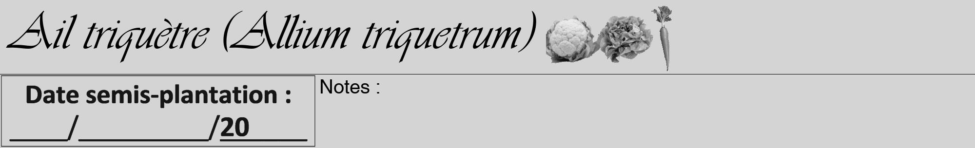 Étiquette de : Allium triquetrum - format a - style noire40viv avec comestibilité simplifiée