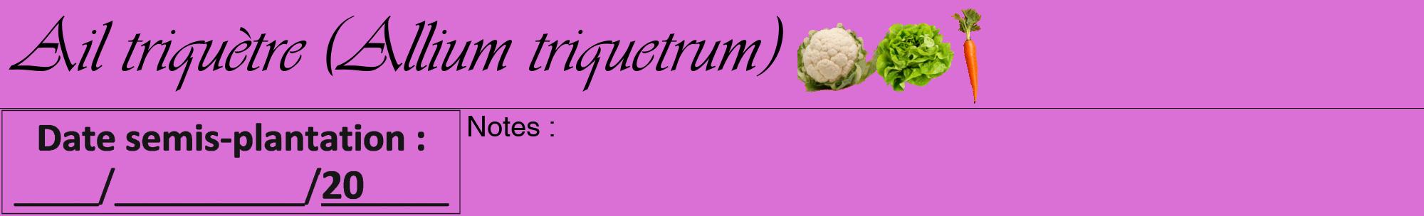 Étiquette de : Allium triquetrum - format a - style noire52viv avec comestibilité simplifiée