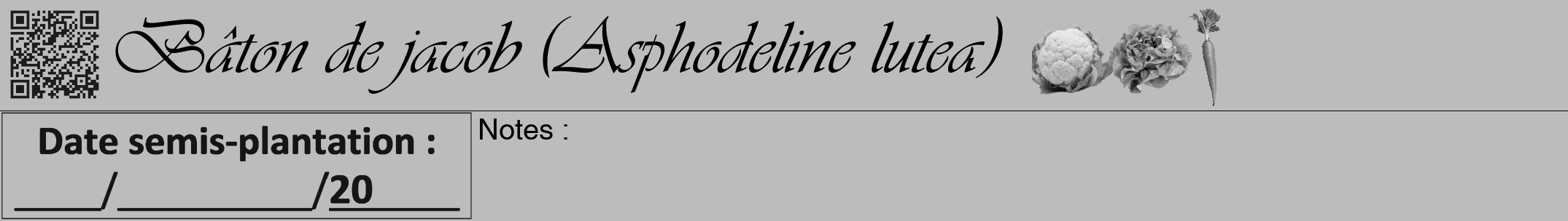 Étiquette de : Asphodeline lutea - format a - style noire1viv avec qrcode et comestibilité simplifiée