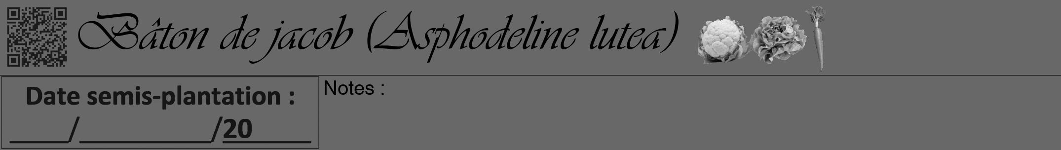 Étiquette de : Asphodeline lutea - format a - style noire43viv avec qrcode et comestibilité simplifiée