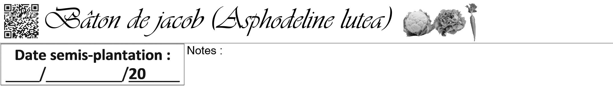 Étiquette de : Asphodeline lutea - format a - style noire60viv avec qrcode et comestibilité simplifiée