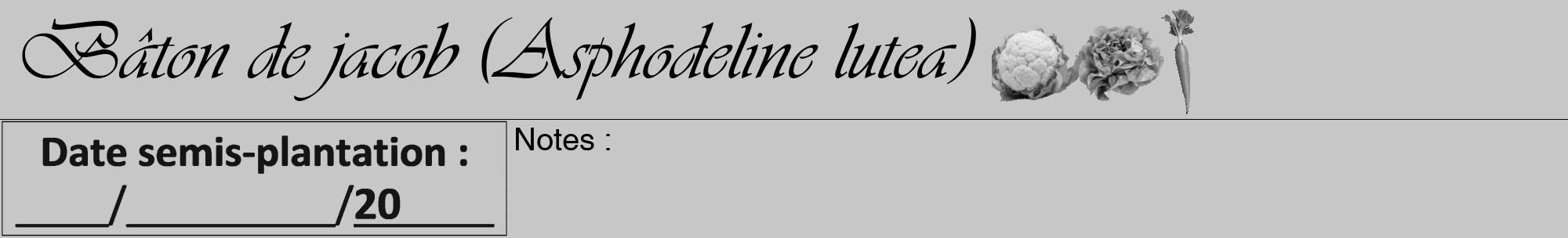 Étiquette de : Asphodeline lutea - format a - style noire15viv avec comestibilité simplifiée