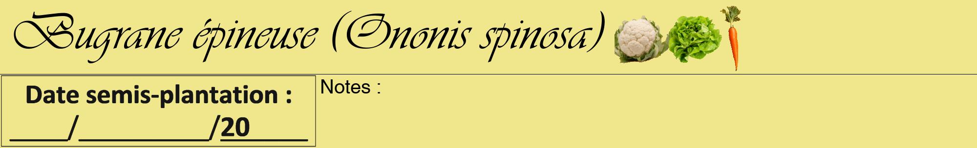 Étiquette de : Ononis spinosa - format a - style noire20viv avec comestibilité simplifiée