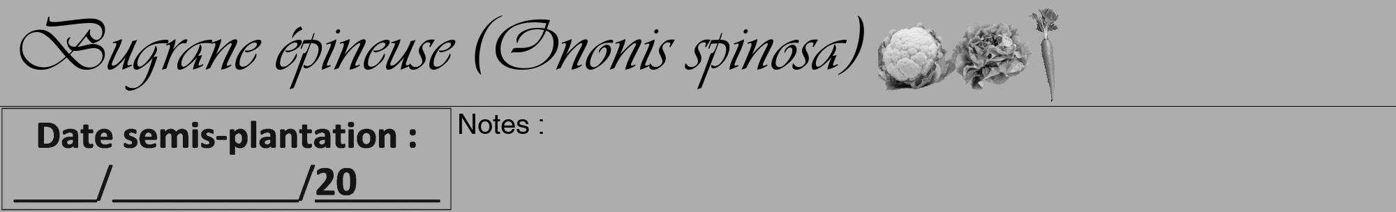 Étiquette de : Ononis spinosa - format a - style noire22viv avec comestibilité simplifiée