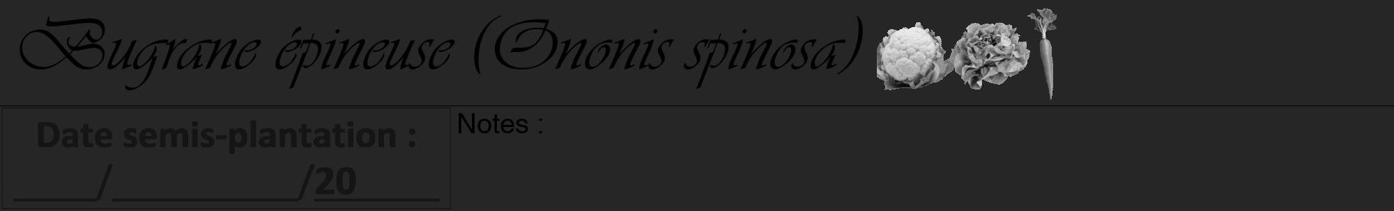 Étiquette de : Ononis spinosa - format a - style noire29viv avec comestibilité simplifiée