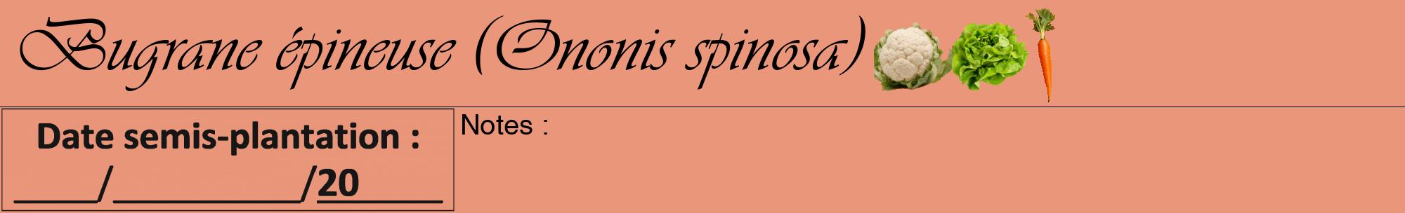 Étiquette de : Ononis spinosa - format a - style noire37viv avec comestibilité simplifiée