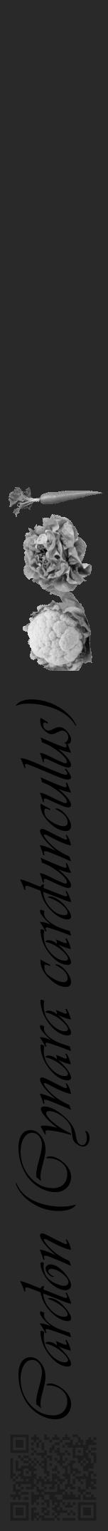Étiquette de : Cynara cardunculus - format a - style noire34viv avec qrcode et comestibilité simplifiée - position verticale