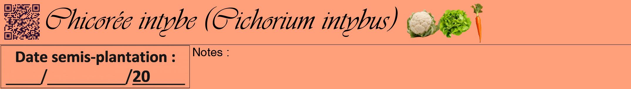 Étiquette de : Cichorium intybus - format a - style noire39simpleviv avec qrcode et comestibilité simplifiée