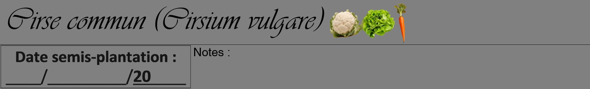 Étiquette de : Cirsium vulgare - format a - style noire57viv avec comestibilité simplifiée