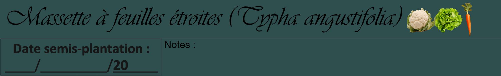 Étiquette de : Typha angustifolia - format a - style noire58basiqueviv avec comestibilité simplifiée