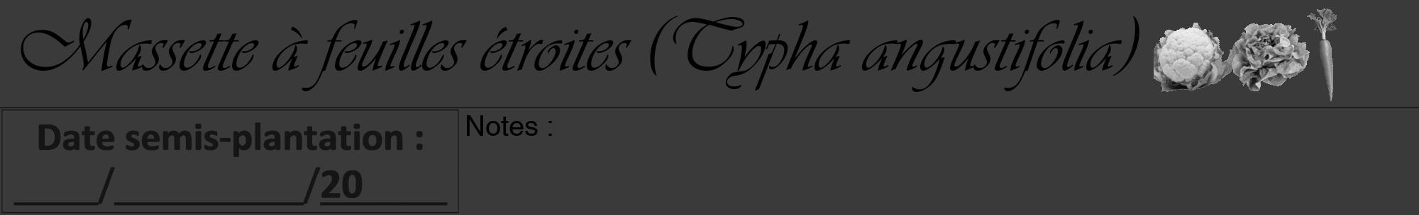 Étiquette de : Typha angustifolia - format a - style noire8viv avec comestibilité simplifiée