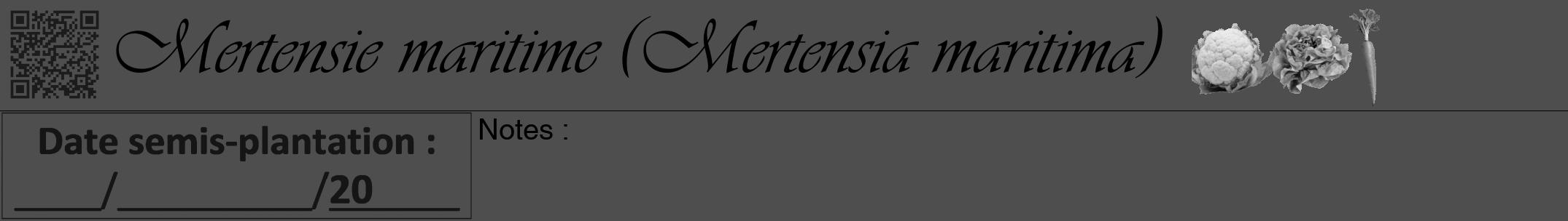 Étiquette de : Mertensia maritima - format a - style noire33viv avec qrcode et comestibilité simplifiée