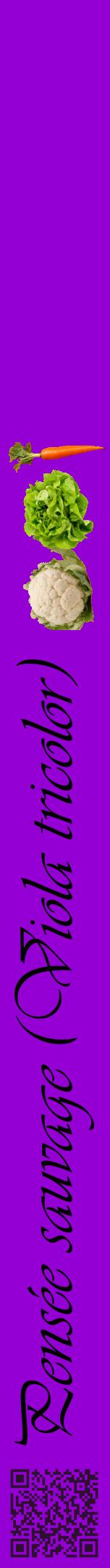 Étiquette de : Viola tricolor - format a - style noire48viv avec qrcode et comestibilité simplifiée