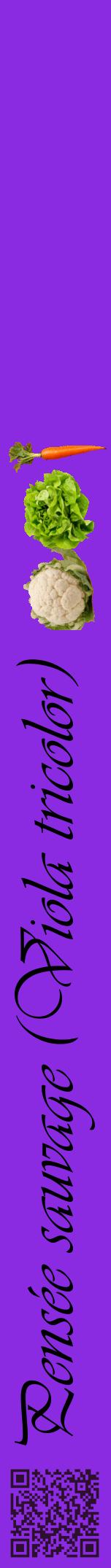 Étiquette de : Viola tricolor - format a - style noire49viv avec qrcode et comestibilité simplifiée