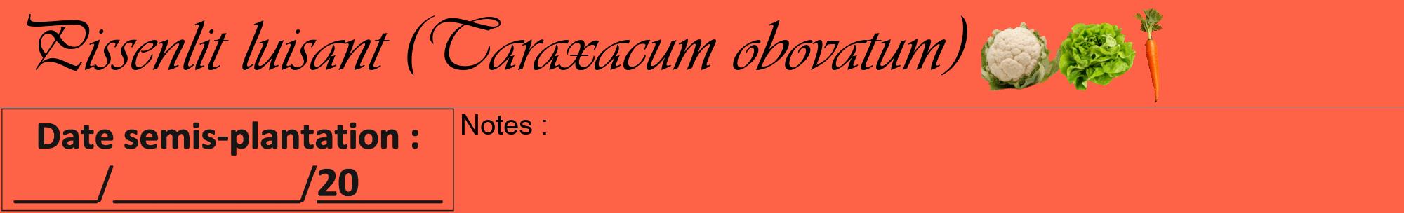 Étiquette de : Taraxacum obovatum - format a - style noire25viv avec comestibilité simplifiée