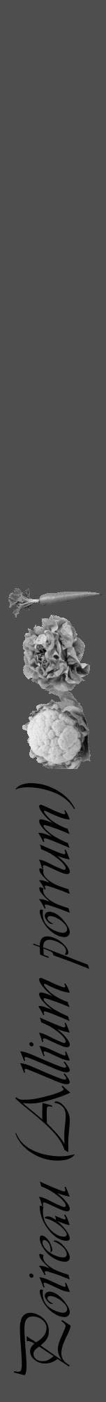 Étiquette de : Allium porrum - format a - style noire33viv avec comestibilité simplifiée - position verticale