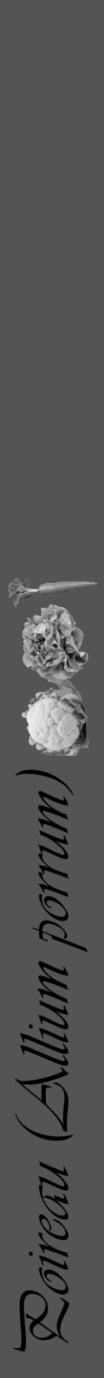 Étiquette de : Allium porrum - format a - style noire36viv avec comestibilité simplifiée - position verticale