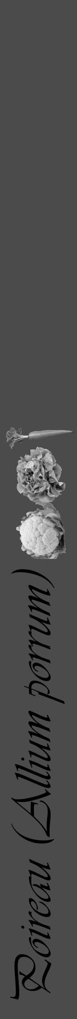Étiquette de : Allium porrum - format a - style noire9viv avec comestibilité simplifiée - position verticale