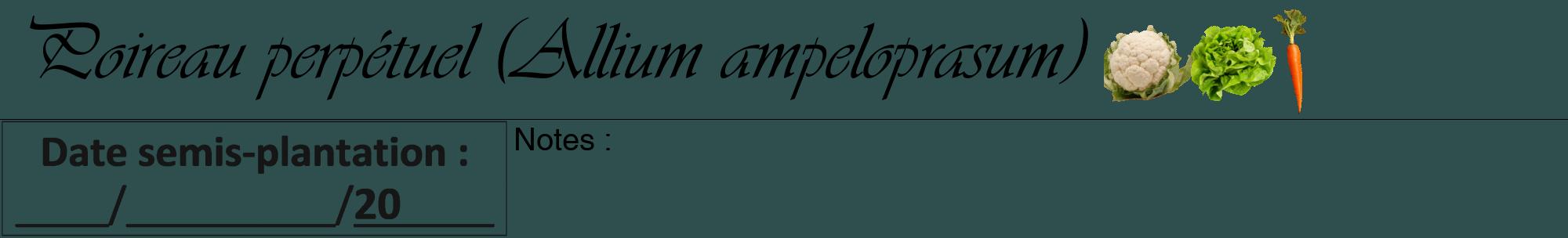 Étiquette de : Allium ampeloprasum - format a - style noire58viv avec comestibilité simplifiée
