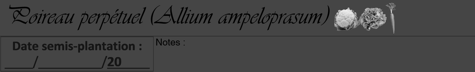 Étiquette de : Allium ampeloprasum - format a - style noire58viv avec comestibilité simplifiée