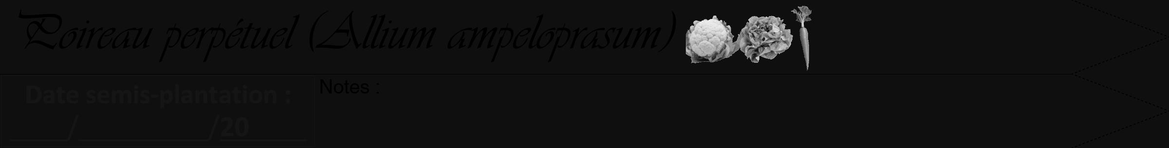 Étiquette de : Allium ampeloprasum - format a - style noire7simpleviv avec comestibilité simplifiée