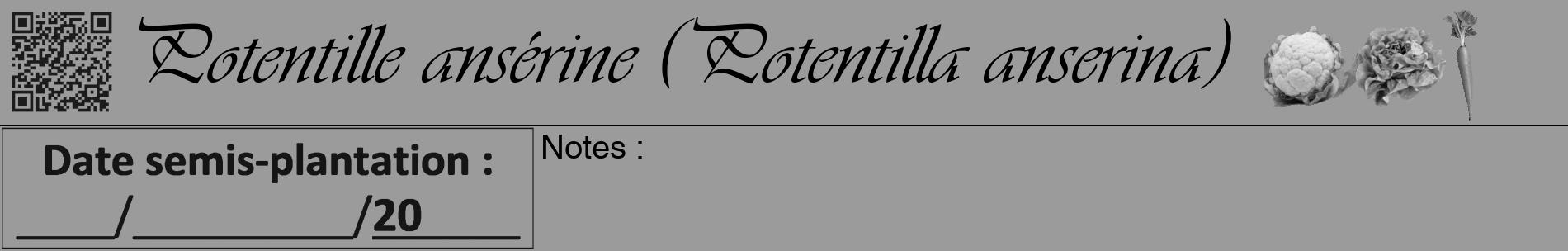 Étiquette de : Potentilla anserina - format a - style noire52basiqueviv avec qrcode et comestibilité simplifiée