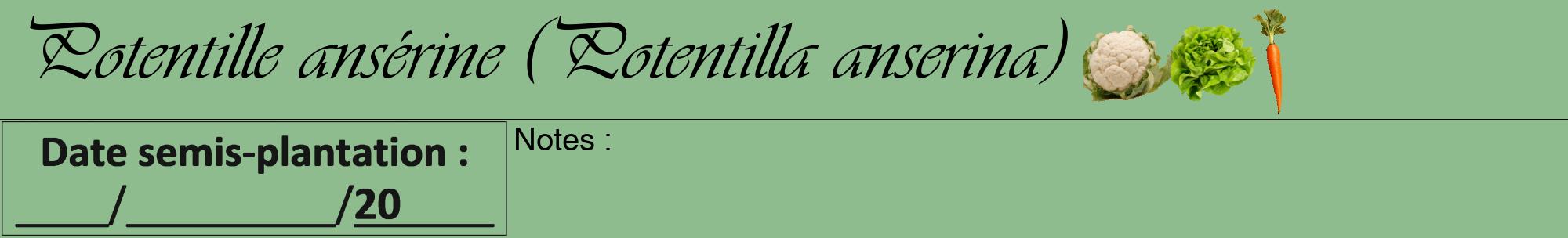 Étiquette de : Potentilla anserina - format a - style noire13viv avec comestibilité simplifiée