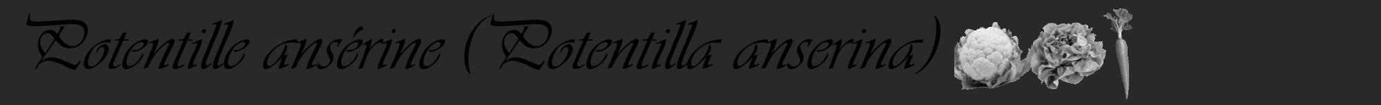 Étiquette de : Potentilla anserina - format a - style noire34viv avec comestibilité simplifiée