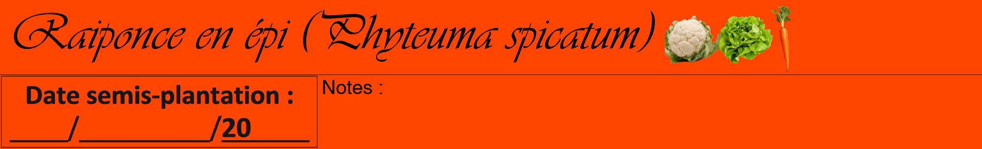 Étiquette de : Phyteuma spicatum - format a - style noire26viv avec comestibilité simplifiée