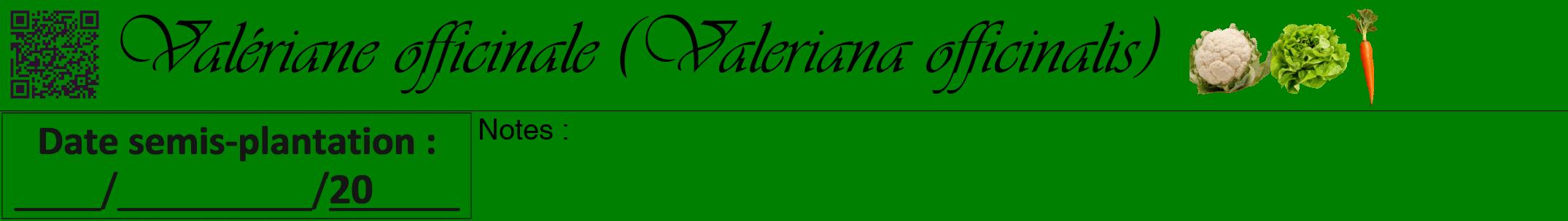 Étiquette de : Valeriana officinalis - format a - style noire9viv avec qrcode et comestibilité simplifiée