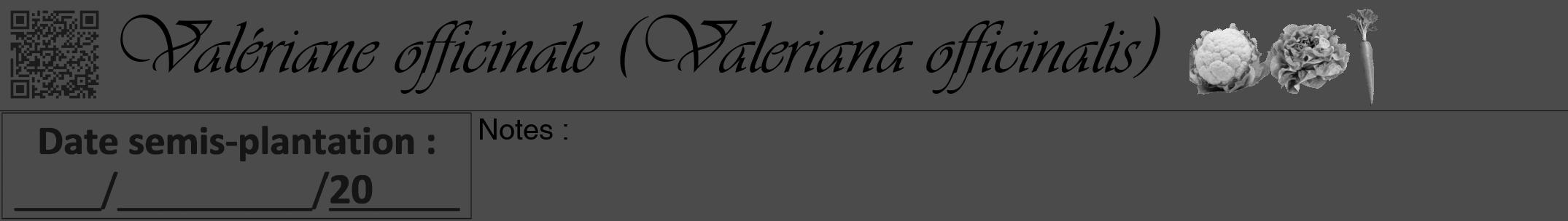 Étiquette de : Valeriana officinalis - format a - style noire9viv avec qrcode et comestibilité simplifiée
